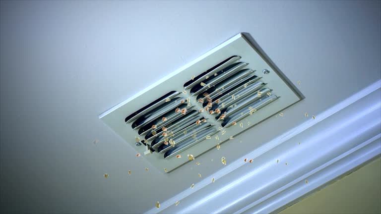 Best HVAC Duct Inspection Services  in Pearland, TX