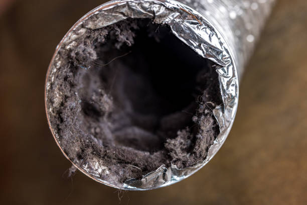 Best Professional Duct Cleaning Services  in Pearland, TX