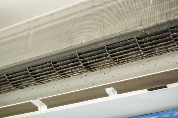 Best HVAC Maintenance and Cleaning  in Pearland, TX