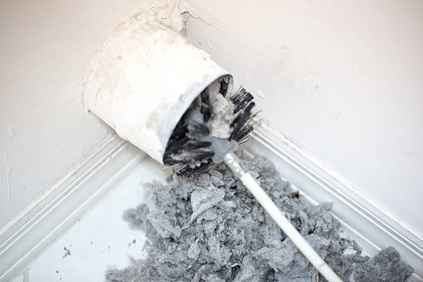 Best Emergency Air Duct Cleaning  in Pearland, TX